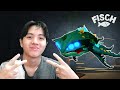 🔴 Completing a Tidefall Update in Fisch | Part 1