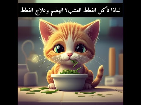 لماذا تأكل القطط العشب الهضم وعلاج القطط