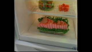 [香港經典廣告](1995)東芝環保雪櫃