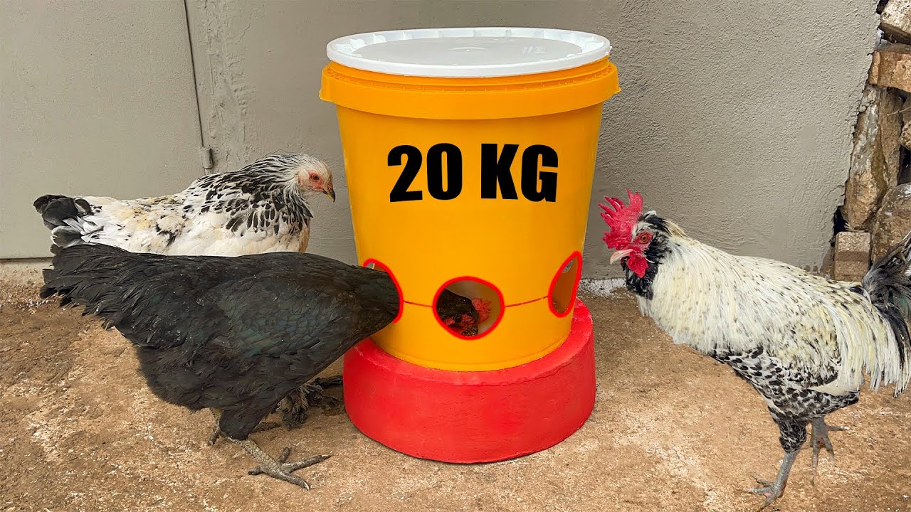 Süper Fikir | 20 kg Kovadan Pratik Tavuk Yemlik Yapımı