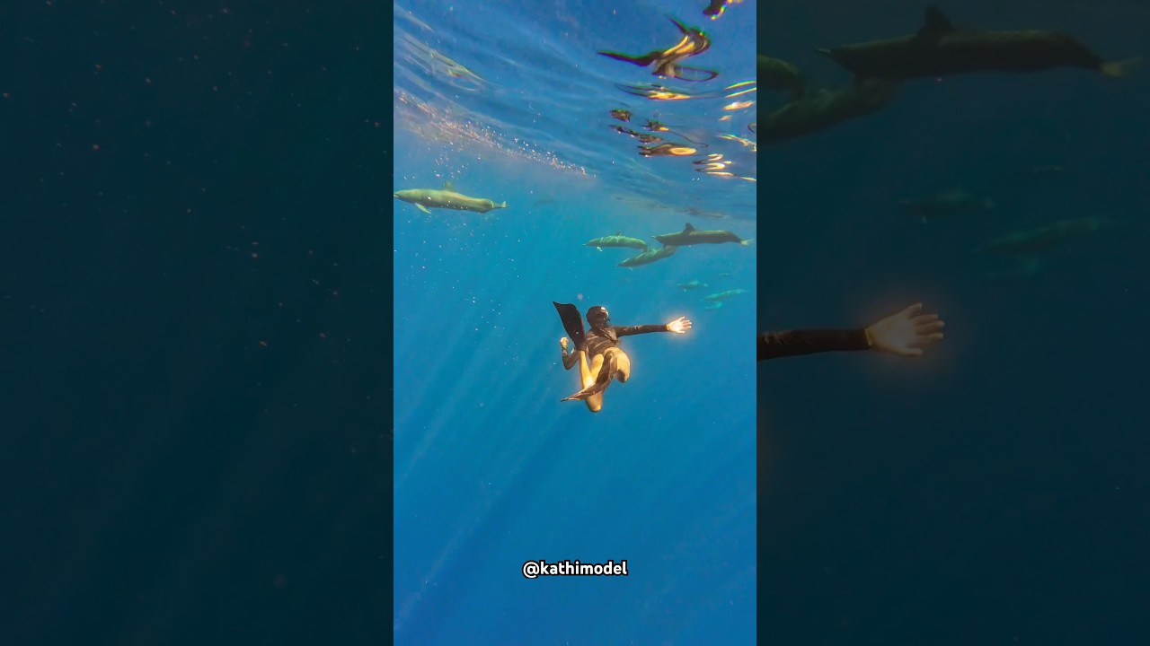 Sound on Swimming with