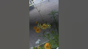تلاوة خاشعة تقشعر لها الأبدان😔