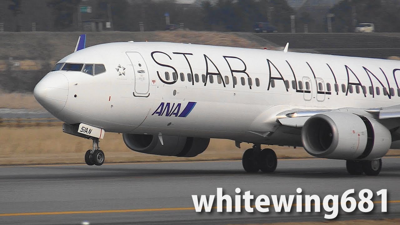 全日空商事 ANA JA51AN NH20032 STAR ALLIANCE 美品】ANA B737-800
