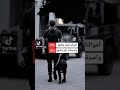 حالات واتس آب تيك توك اموالنا قليله ولكنها حلال وأصدقائنا أقل ولكنهم رجال