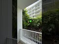 Rose Apple Square Siem Reap Condo For Sale #cambodia #siemreap #condoforsale #realestate #garden