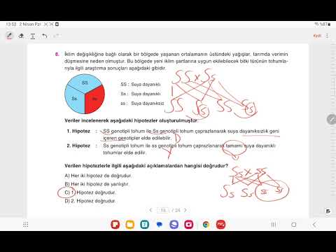 Krallar Karması 7'li
