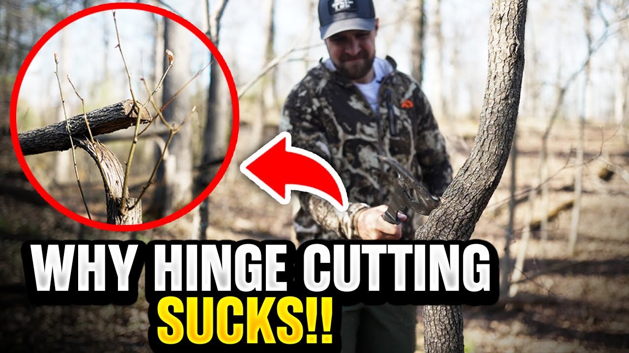Hinge Cutting SUCKS! BETTER OPTION IS...