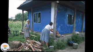 Lapus Un Village Dans Les Maramures, Roumanie, Photorama, 1992