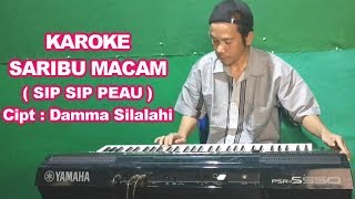 Karoke Saribu Macam ( sip Sip Pe Au ) - No Vocal | Lagu simalungun