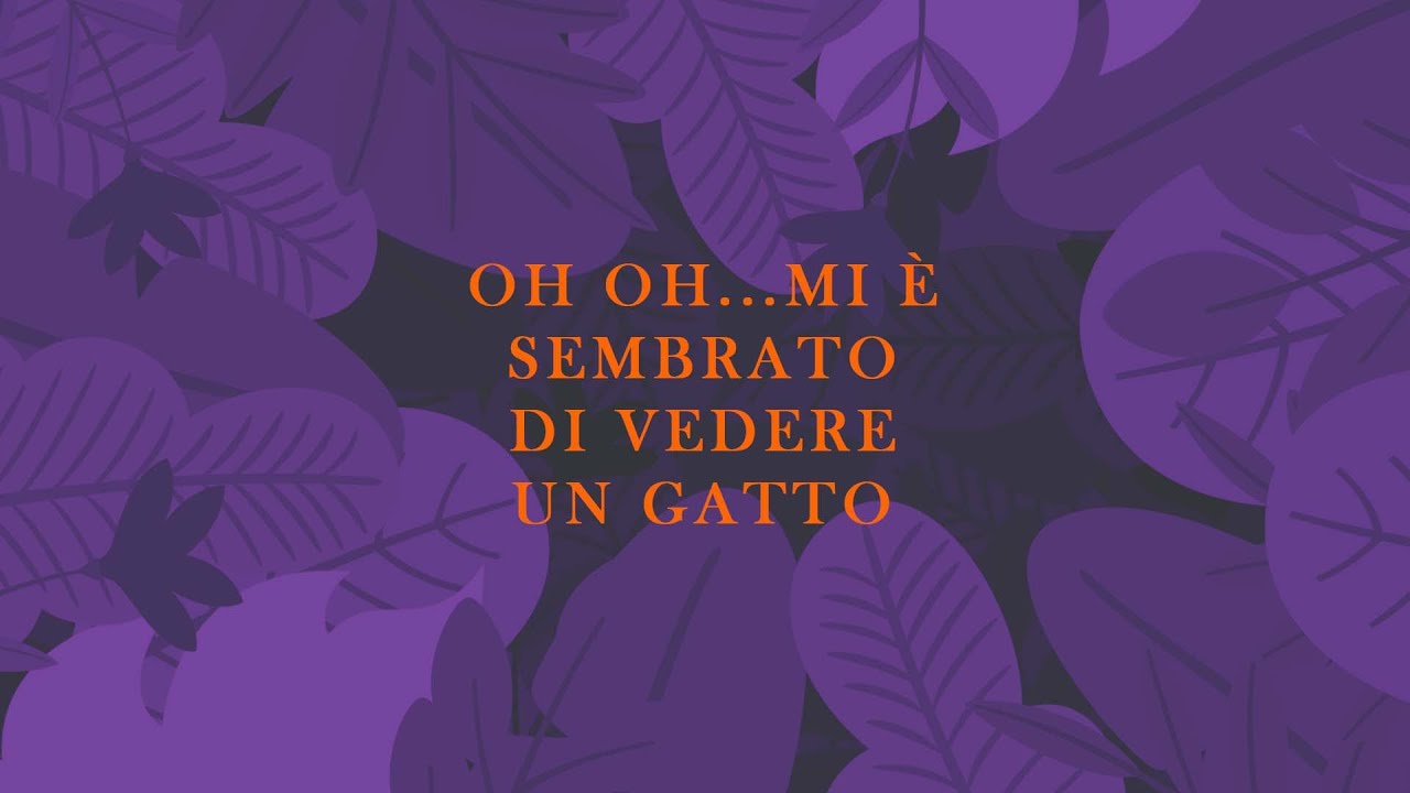 Oh oh... mi è sembrato di vedere un gatto - YouTube