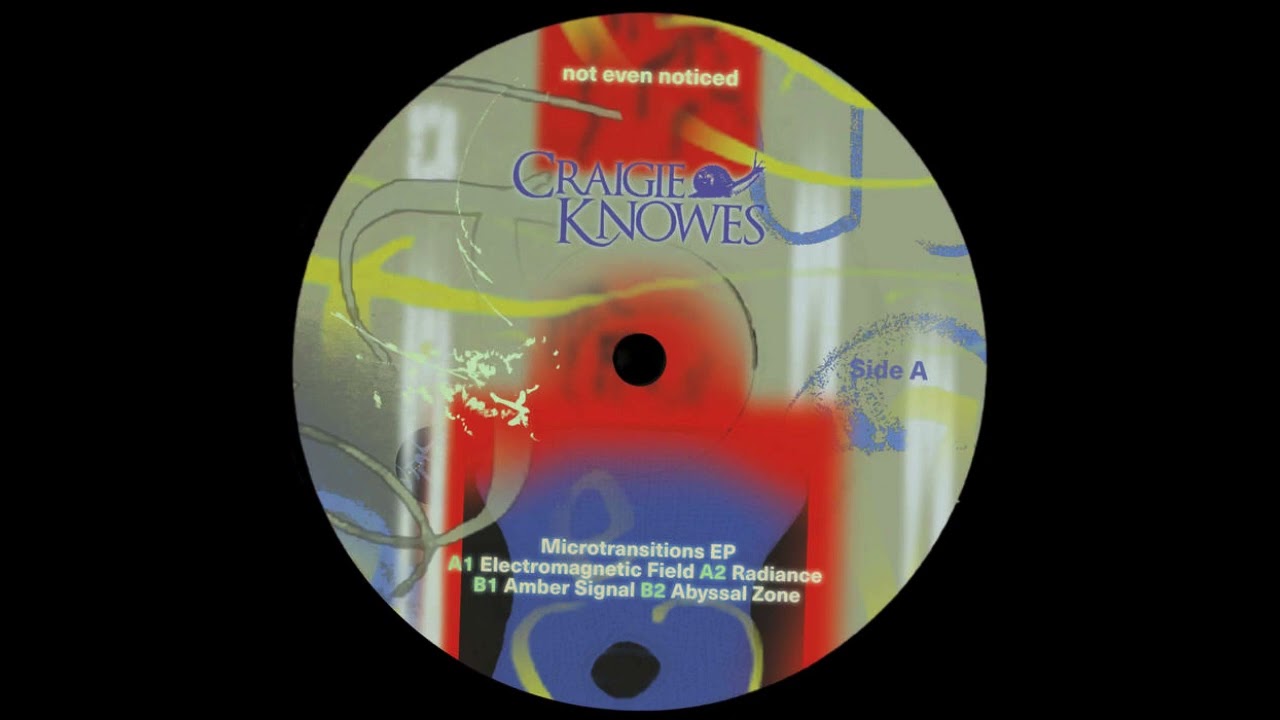 not even noticed - Electromagnetic Field ‐ Microtransitions EP - [CKNOWEP49] - 2023
