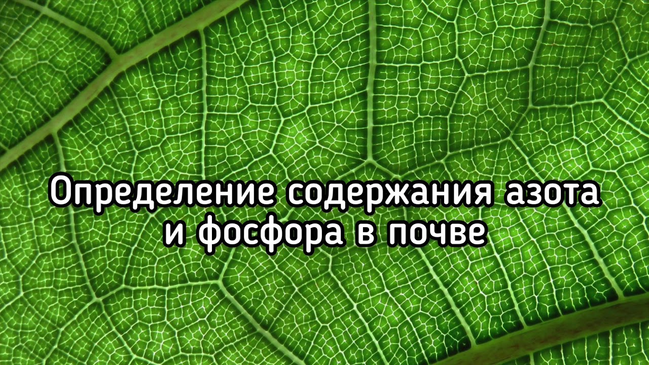 Определение содержания азота и фосфора в почве - YouTube