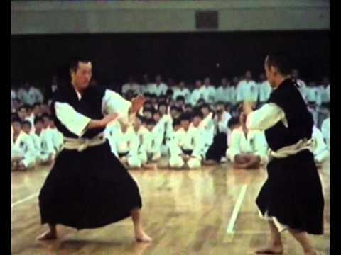 Demonstration Shorinji Kempo japon