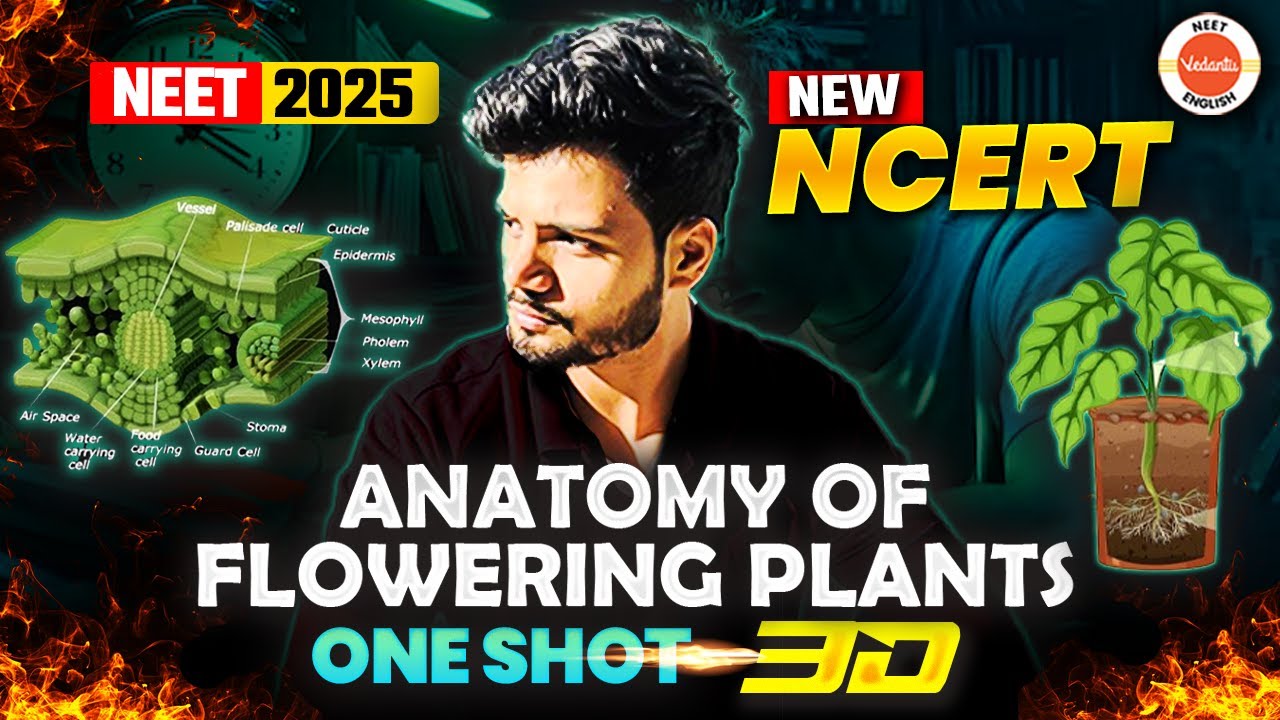 Anatomy of Flowering Plants 🌱 in 3D! | One Shot | Class 11 Biology | NEET 2025 | Basavaraj Sir