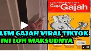 Lem Gajah Video Yang Viral di Tiktok ada apa sih?