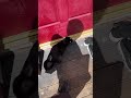 又有貓陪我🐱