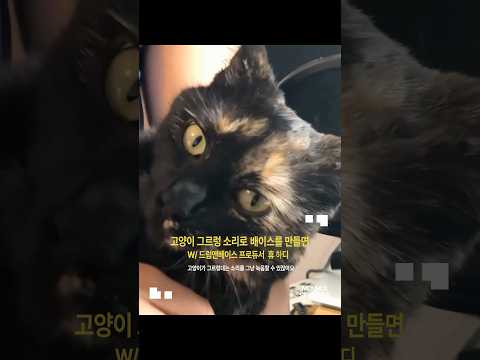 고양이 그르렁 소리로 베이스를 만들면 | Hugh Hardie 휴 하디 #작곡 #사운드디자인 #고양이