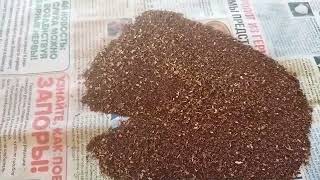 видео: Заготовка семян табака. 11.10.2023г. картинка: Заготовка семян табака. 11.10.2023г.