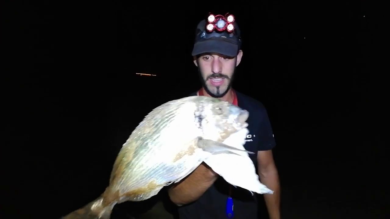 DORADAS A SURFCASTING EN CÁDIZ (Sorpresa a media noche)