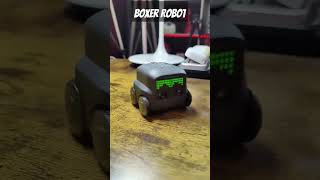Boxer Robot- Let go Crazy #robot #robotic #realrobot #Boxerrobot #boxer