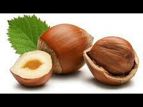 فوائد البندق للجنس يوتيوب