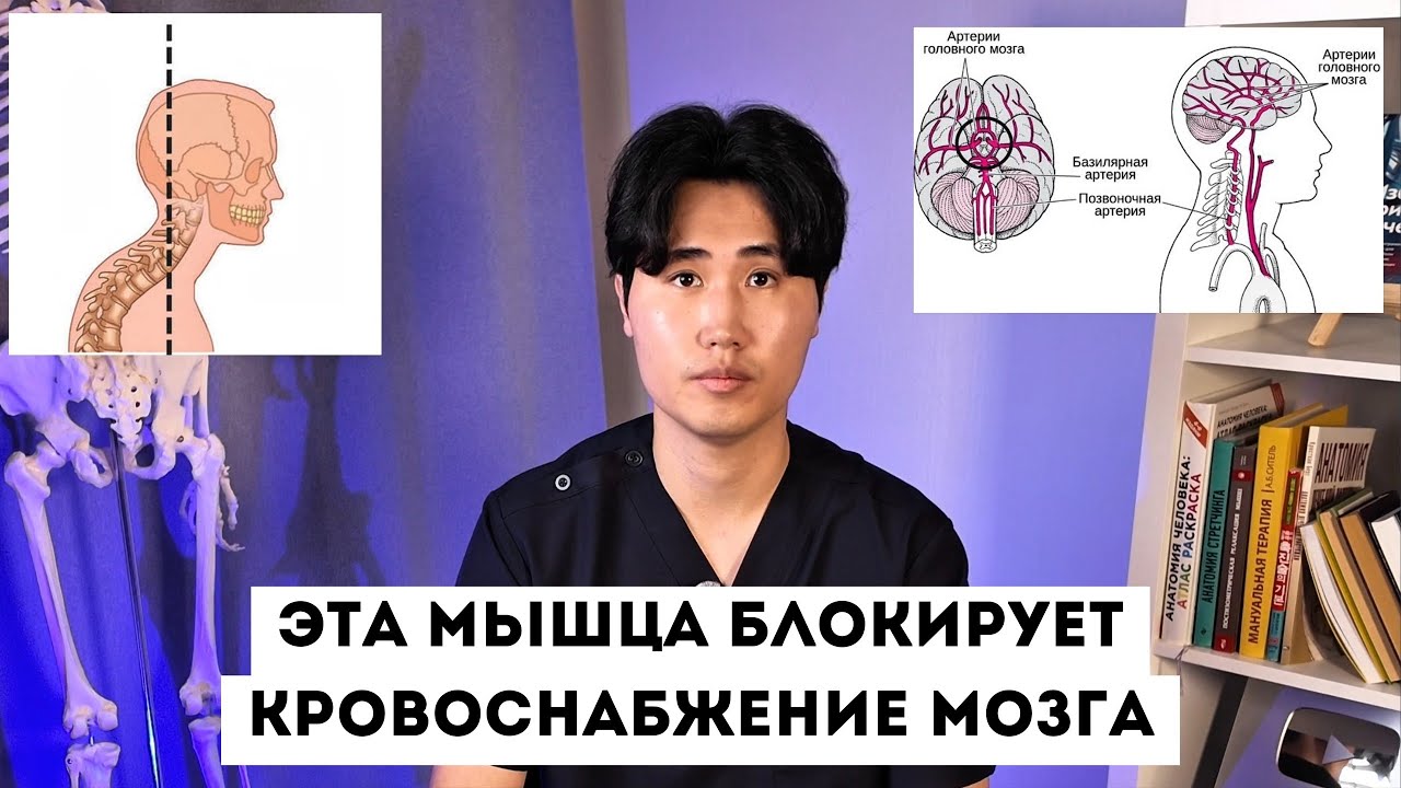 Эта мышца блокирует КРОВОСНАБЖЕНИЕ МОЗГА. Разблокируй ее за один раз и УВЕЛИЧЬ КРОВОТОК НА 120%.