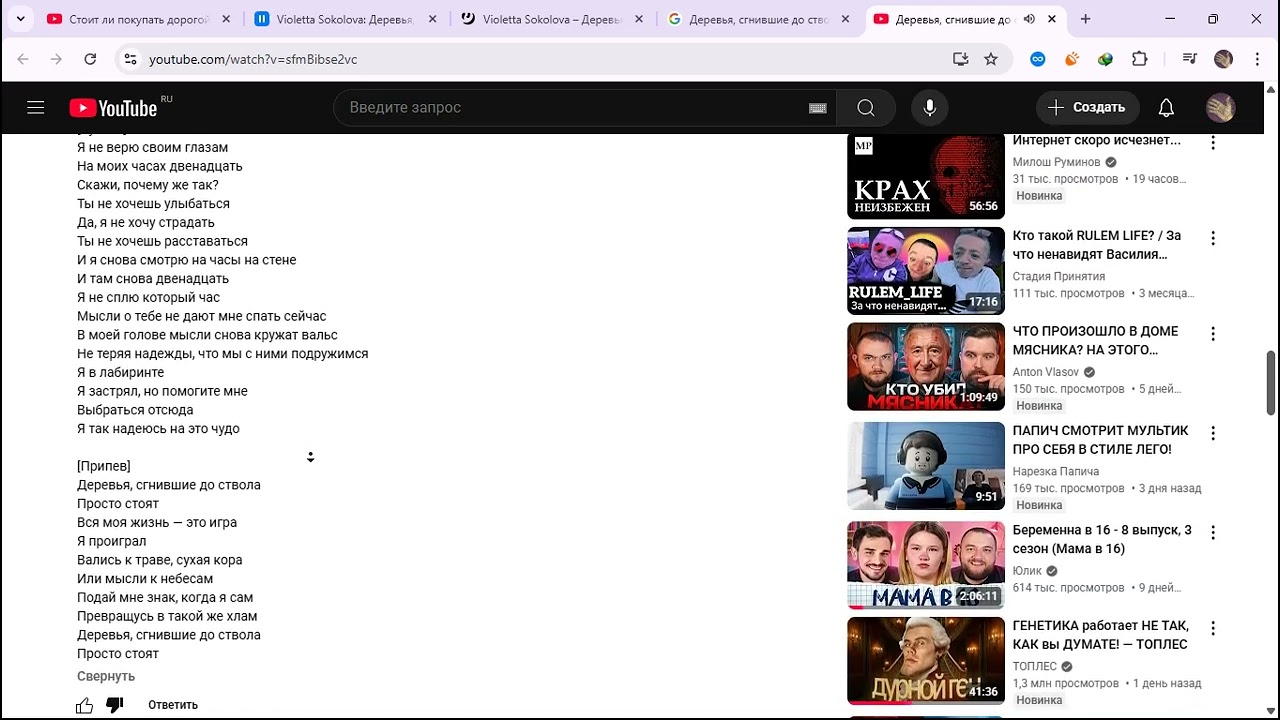 Деревья, сгнившие до ствола [Purple Moonshine Black Crystal Lord КАВЕР]