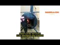 Review Preself 4 Persons 5lb Lightweight Tipi Hot Tents with Stove Jack, 7'3" Standing Room, Teepee