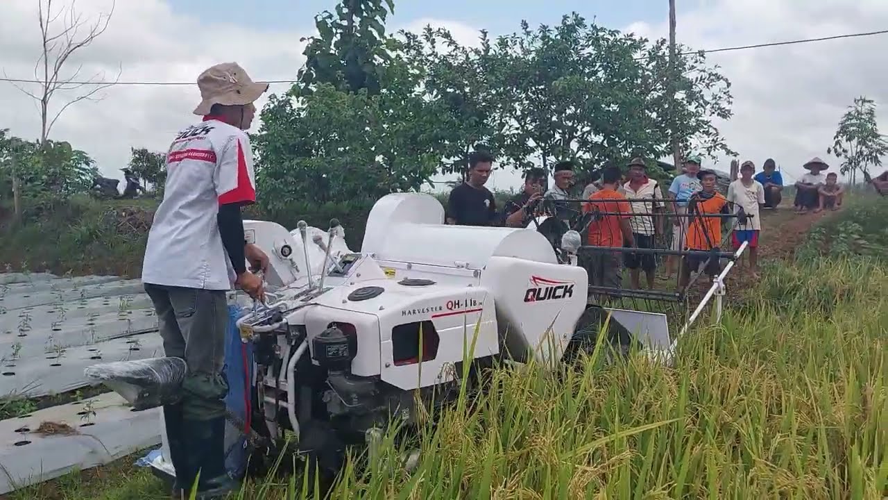 Combine Harvester Quick: Alat Panen Padi Super Cepat – Panen 1 Hektar Cuma Hitungan Jam!