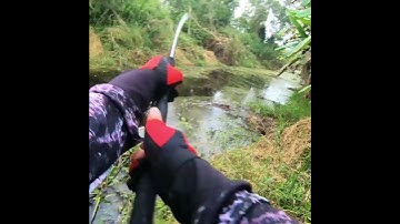 Câu cá lóc rừng U Minh Hạ P.31 | Cá lóc theo mồi và cái kết #cauca  #docaungokhanh #caucalockhung