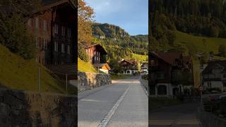 Switzerland village Beatenberg. #nature #swissbeauty #switzerland #mountains #beautiful #alps