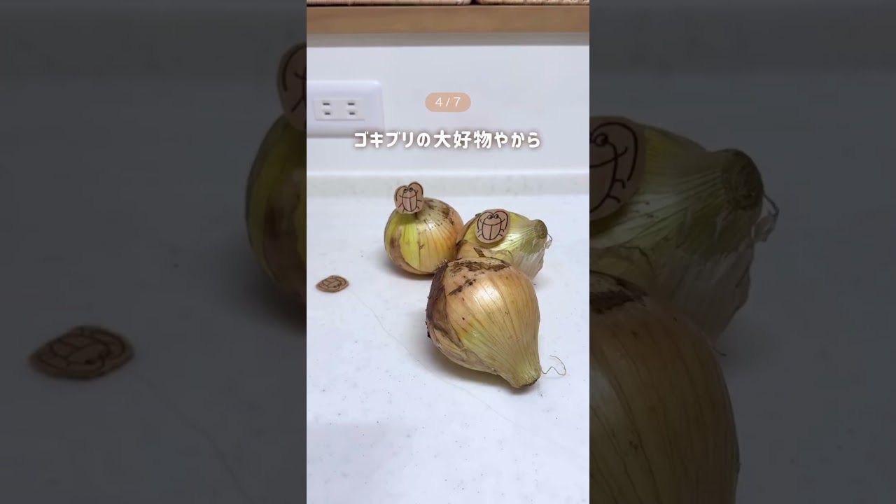 今やらないと遅い！G対策7選😱