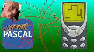 Famous Snake in Pascal Wealth