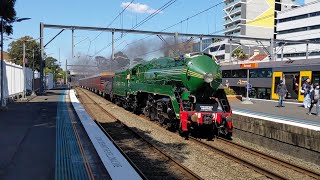3801 Steam Locomotive passes through Burwood