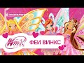 Психологические проблемы фей Винкс