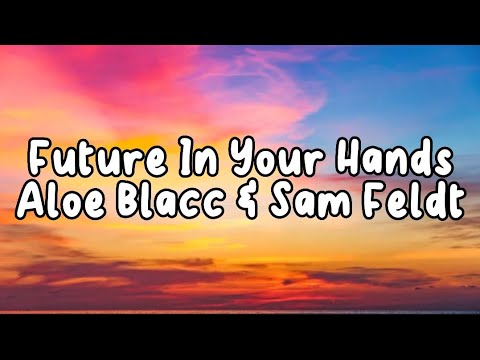 Future In Your Hands - Aloe Blacc & Sam Feldt (skytech remix) (Lyrics)