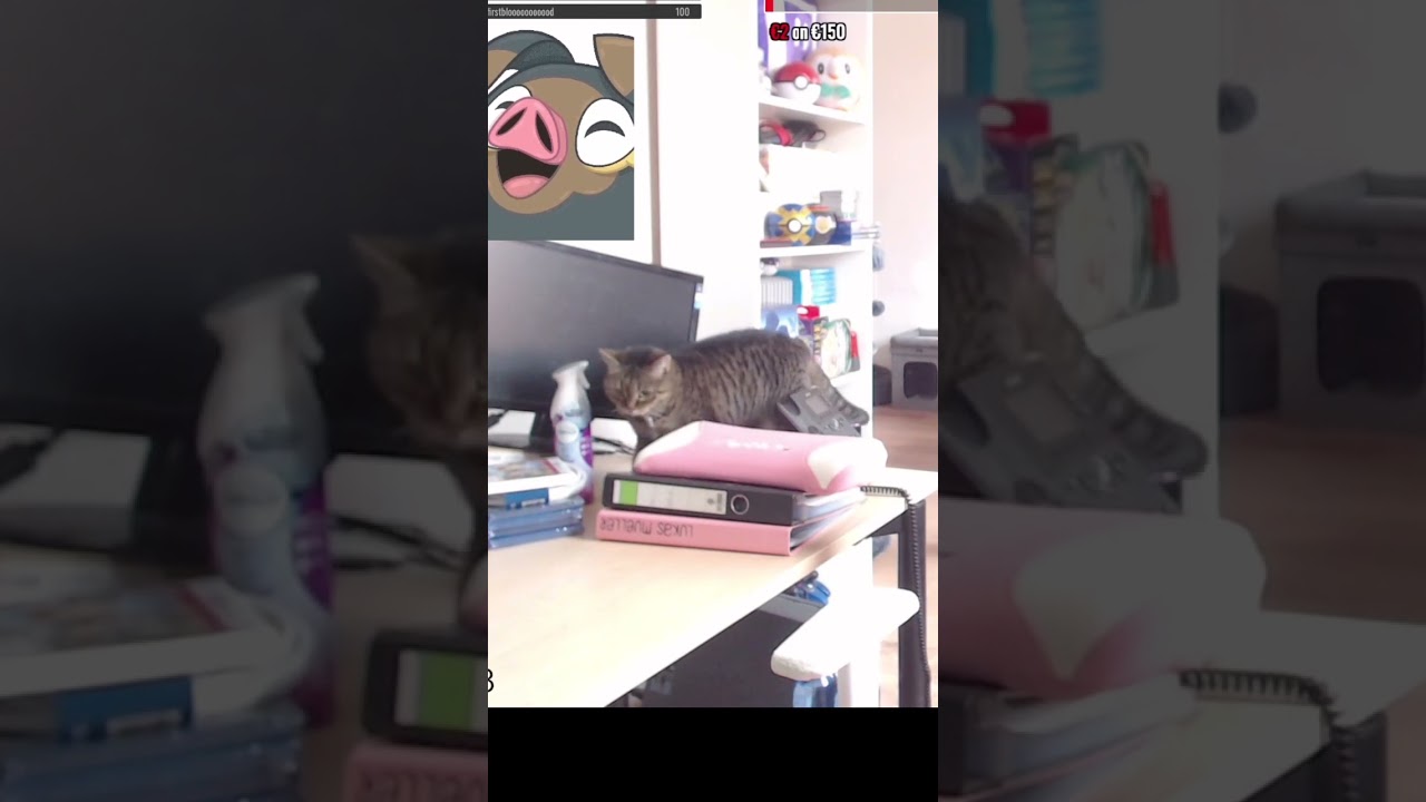 😹Lucy zerstört Arbeitsbildschirm🙀 