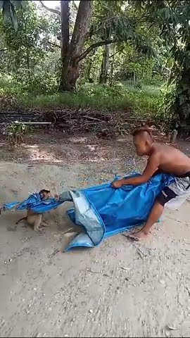 Sigit ketua seribu wajah Palas marah🤣