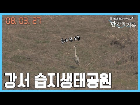 강서 습지생태공원 ┃ <strong>TBS</strong> 한강의 기록 2008-03-<strong>27</strong>
