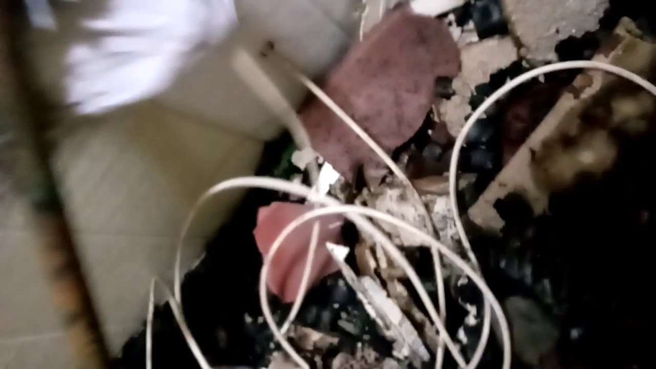 Escondido Country Club 2