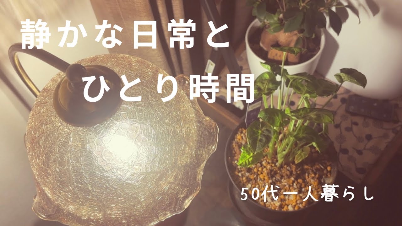 今日も静かな日常｜朝の手帳時間｜かぼちゃグラタンでほっこり｜愛犬とほっこり時間｜