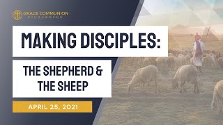 Making Disciples: The Shepherd And The Sheep