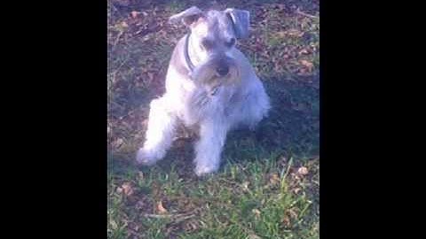 IN LOVING MEMORY OF LUKE