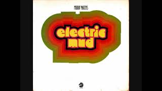 Muddy Waters - Tom Cat - 1968
