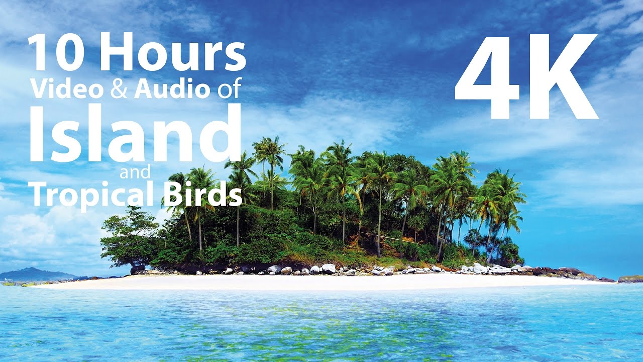 4K UHD 10 hours - Tropical Island & Gentle Birds/Waves Audio window - relaxation, meditation, nature