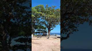 Helena do valle195 #caminhodaverdade #deus #fe #caminhosdosenhor #shortsyoutube #estrada #paz