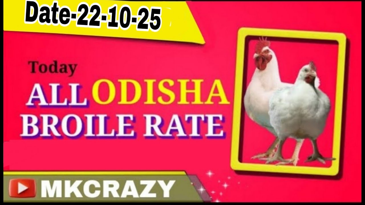#TodayBroilerRate