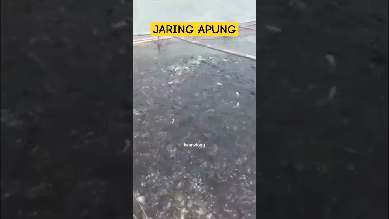 Jaring Apung di Bendungan Jatigede