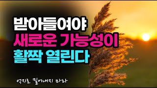 버티며 멈춰 서지 말고 내 마음을 사랑과 존중으로 채우고 나아가라 / 흔들릴 줄 알아야 부러지지 않는다 / 책데이트 책추천