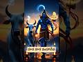 🌺 Shiva Shakti Unleashed 🔥 | మహాదేవుడి ఆధ్యాత్మిక శక్తి 💙